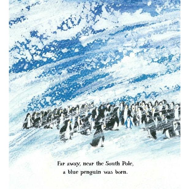 【贈音檔】現貨🍀英文繪本Blue Penguin🍀知名插畫家Petr Horacek🍀暖心故事/友誼/自我認同/自信-細節圖4