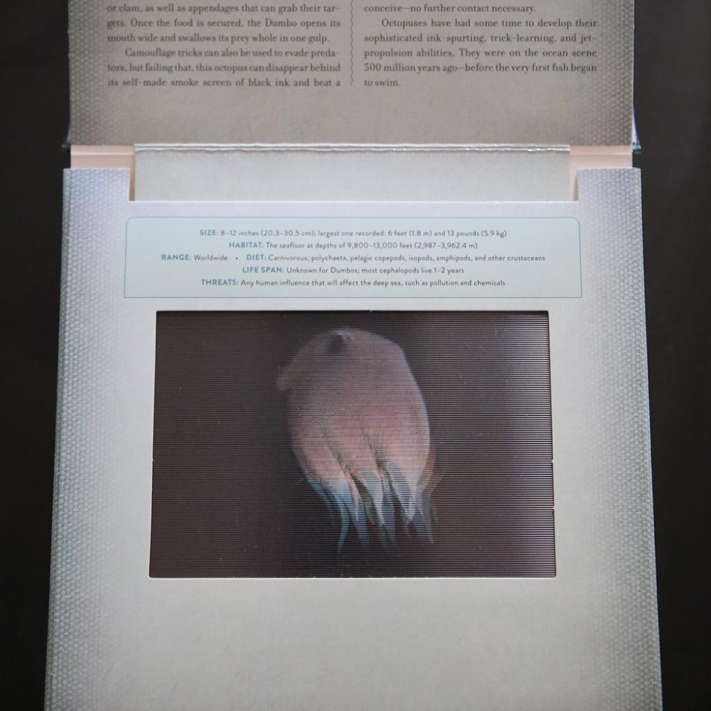 缺書店🍀精裝英文Ocean: A Photicular Book🍀多視角會動的3D立體影像書【店內還有同系列書籍】-細節圖2