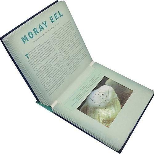 缺書店🍀精裝英文Ocean: A Photicular Book🍀多視角會動的3D立體影像書【店內還有同系列書籍】-細節圖3