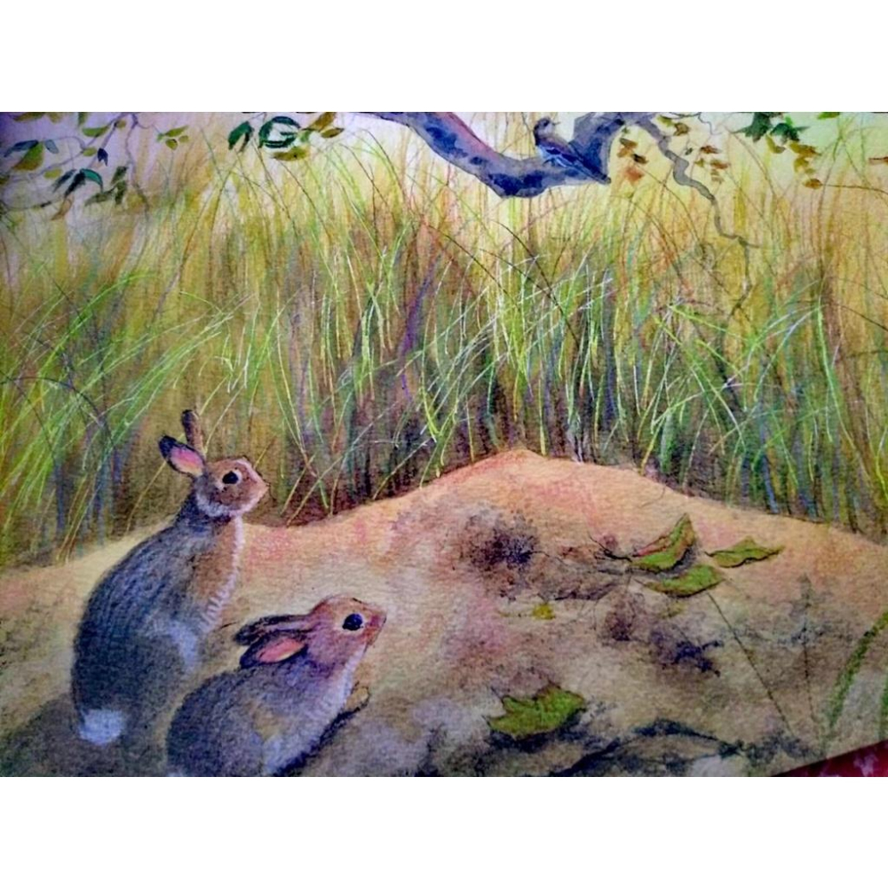 【折扣書】🍀精裝英文繪本Pond🍀Paula Wiseman🍀溫暖柔和的色鉛和水墨插畫展現迷人的池塘四季自然風光-細節圖9