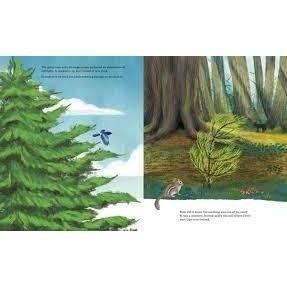 現貨🍀2022年獲獎英文知識繪本🍀Listen to the Language of the Trees🍀缺書店-細節圖3