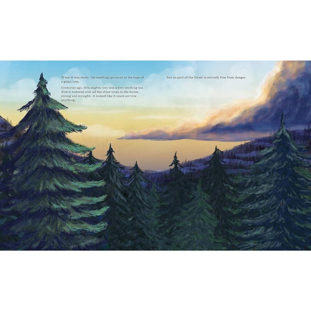 現貨🍀2022年獲獎英文知識繪本🍀Listen to the Language of the Trees🍀缺書店-細節圖5