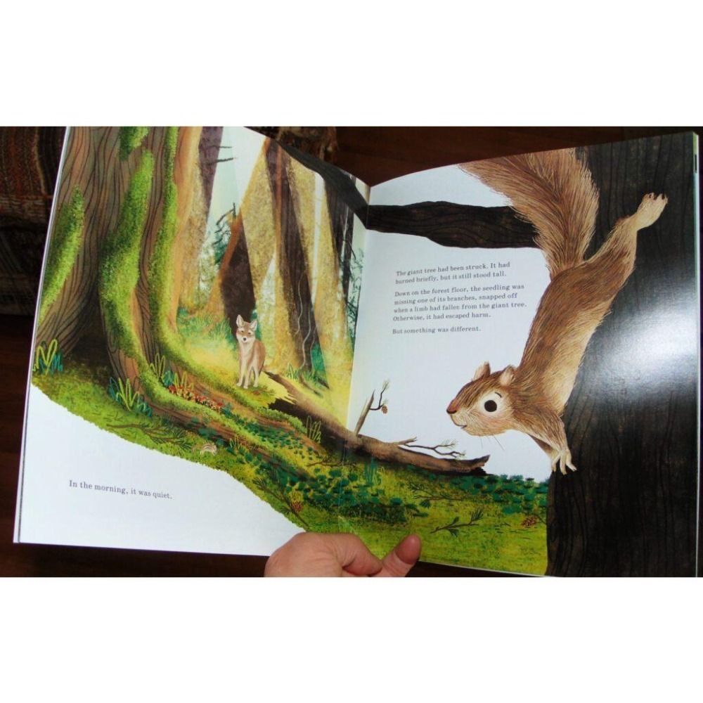 現貨🍀2022年獲獎英文知識繪本🍀Listen to the Language of the Trees🍀缺書店-細節圖6