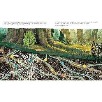 現貨🍀2022年獲獎英文知識繪本🍀Listen to the Language of the Trees🍀缺書店-細節圖7