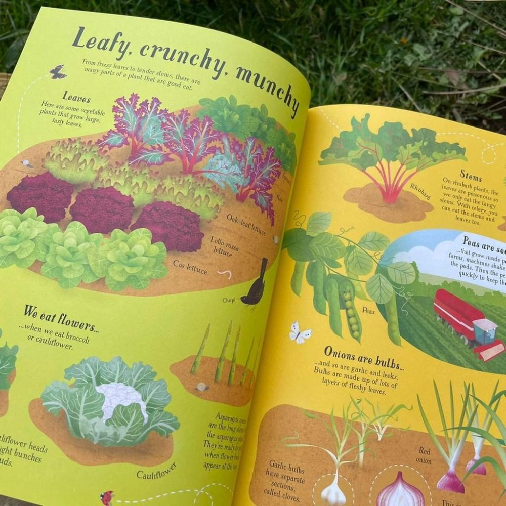 現貨Usborne精裝英文知識繪本It all starts with a seed... How food grows-細節圖3