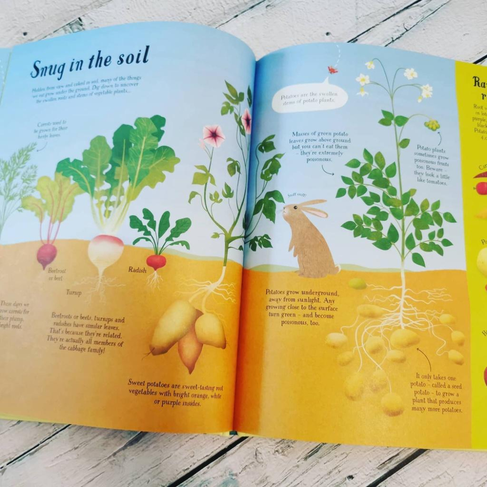 現貨Usborne精裝英文知識繪本It all starts with a seed... How food grows-細節圖4