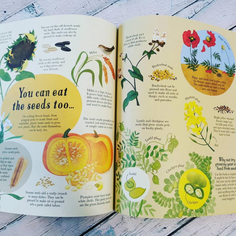 現貨Usborne精裝英文知識繪本It all starts with a seed... How food grows-細節圖7