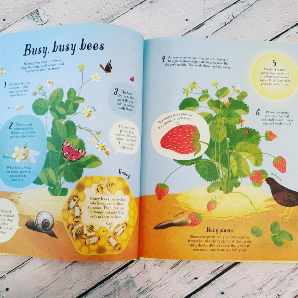 現貨Usborne精裝英文知識繪本It all starts with a seed... How food grows-細節圖9