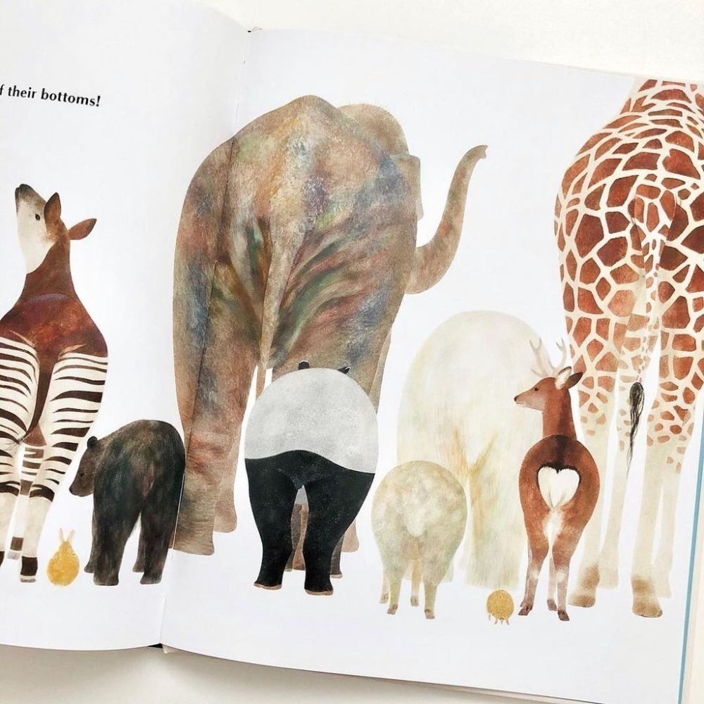 缺書店🍀精裝英文幽默繪本 Animals Brag About Their Bottoms引以為傲的屁屁（非常有趣.)-細節圖5