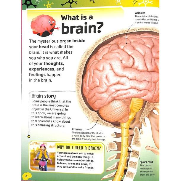 訂購&現貨🍀DK精裝英文自然科學書The DNA / Body /Brain /bacteria BooK🍀套書4冊-細節圖5