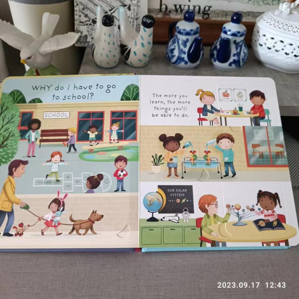 【現貨】🍀USBORNE英文硬頁翻翻書🍀Why do I have to go to shcool?🍀缺書店-細節圖3