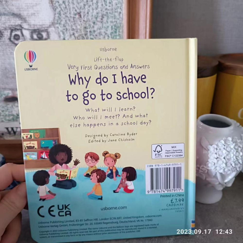 【現貨】🍀USBORNE英文硬頁翻翻書🍀Why do I have to go to shcool?🍀缺書店-細節圖8