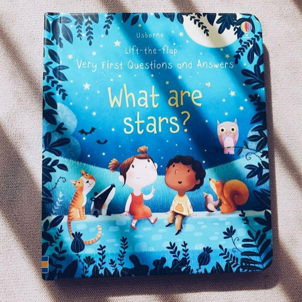 現貨Usborne科普硬頁翻翻書What is the Moon/clouds/ rain/snow/star/sun-細節圖2