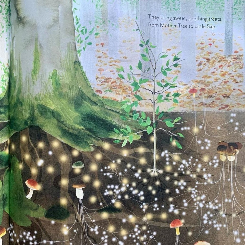 缺書店🍀精裝英文知識繪本Little Sap:The Magical Story of a Forest Family-細節圖4