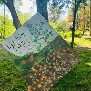 缺書店🍀精裝英文知識繪本Little Sap:The Magical Story of a Forest Family-規格圖9