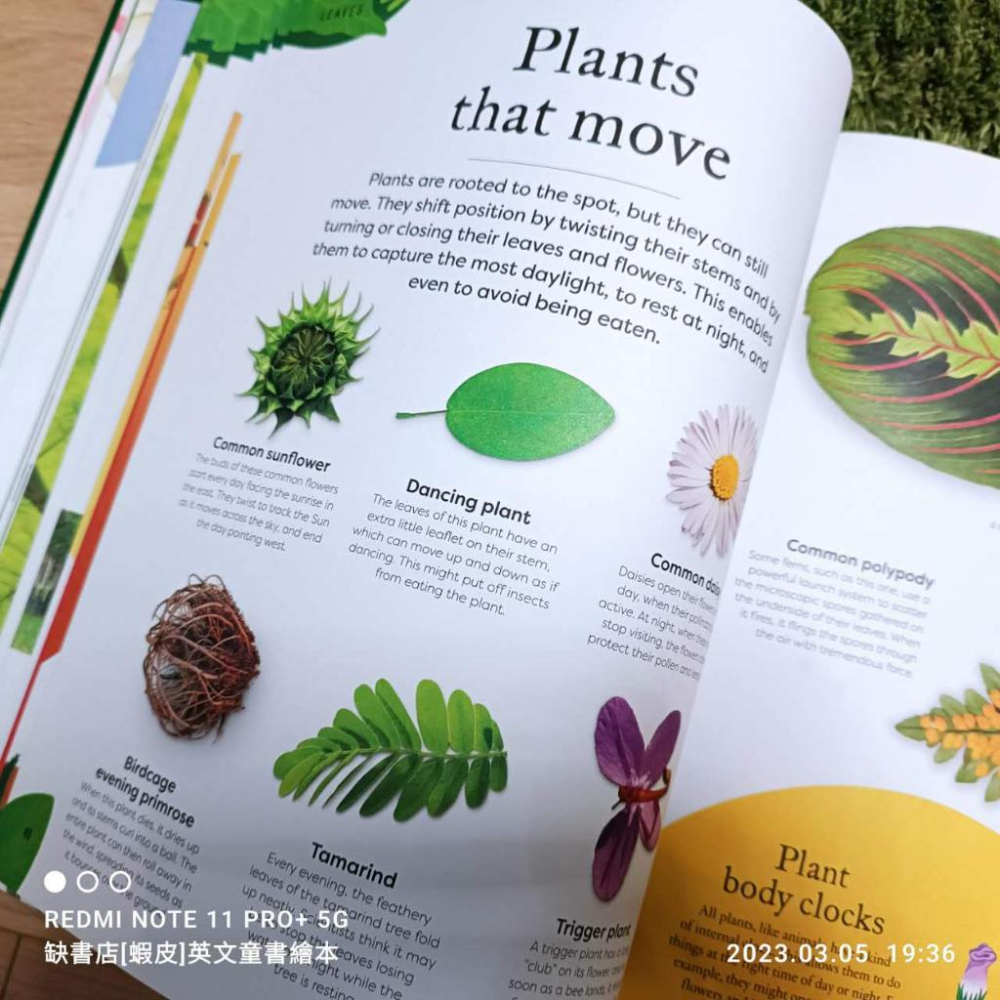 現貨🍀DK精裝英文自然科普書The Secret World of Plants【英國版】植物大書🍀側邊燙金非常精美-細節圖3