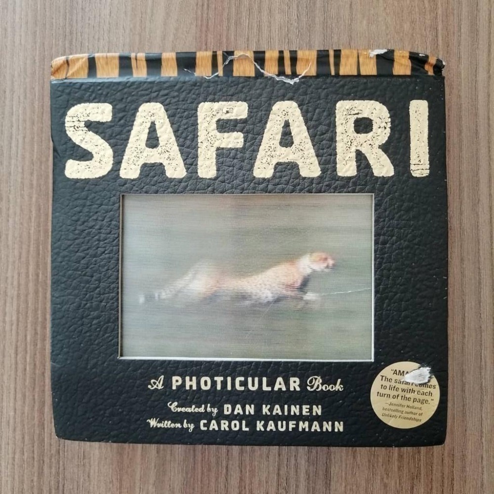 A Photicular Book:Polar/Ocean/outback/Jungle/Safari/dinosaur-細節圖4