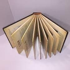 A Photicular Book:Polar/Ocean/outback/Jungle/Safari/dinosaur-細節圖6