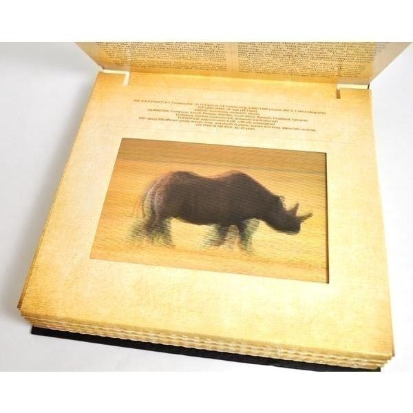 A Photicular Book:Polar/Ocean/outback/Jungle/Safari/dinosaur-細節圖7