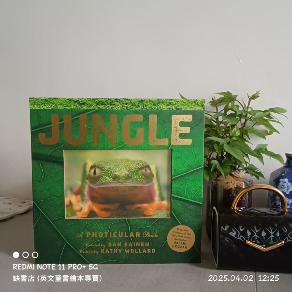 A Photicular Book:Polar/Ocean/outback/Jungle/Safari/dinosaur-規格圖10