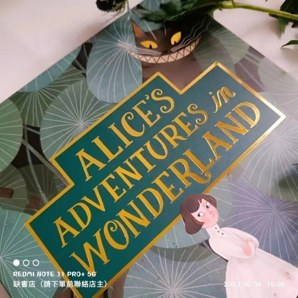 贈音檔Alice＇s Adventures in Wonderland【完整版 】Julia Sarda插圖🍀 缺書店-細節圖3