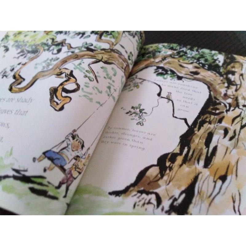 現貨🍀英文平裝繪本The Things That I LOVE about TREES樹的四季🍀水彩和水墨插圖🍀缺書店-細節圖7