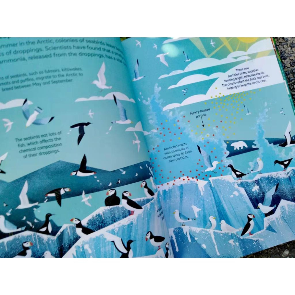 現貨🍀Usborne出版精裝英文科普知識繪本🍀100 things to know about planet earth-細節圖8