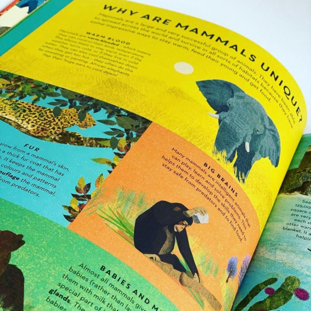 精裝英文知識繪本There are Mammals Everywhere🍀Britta Teckentrup🍀缺書店-細節圖2