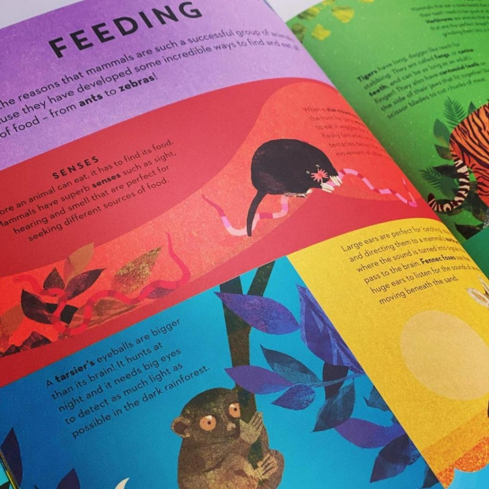 精裝英文知識繪本There are Mammals Everywhere🍀Britta Teckentrup🍀缺書店-細節圖3