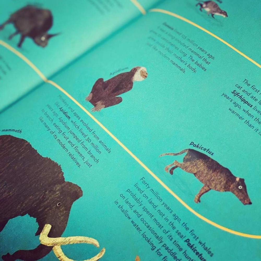 精裝英文知識繪本There are Mammals Everywhere🍀Britta Teckentrup🍀缺書店-細節圖5