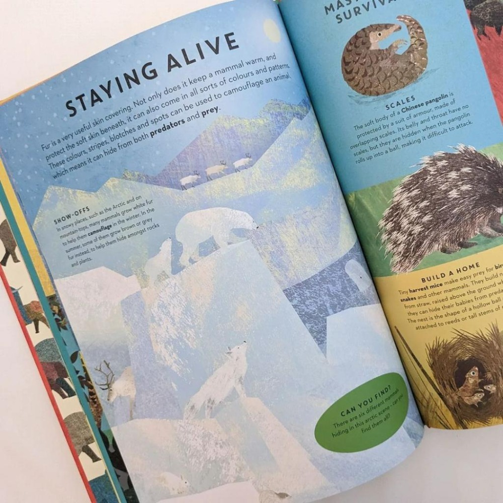 精裝英文知識繪本There are Mammals Everywhere🍀Britta Teckentrup🍀缺書店-細節圖6