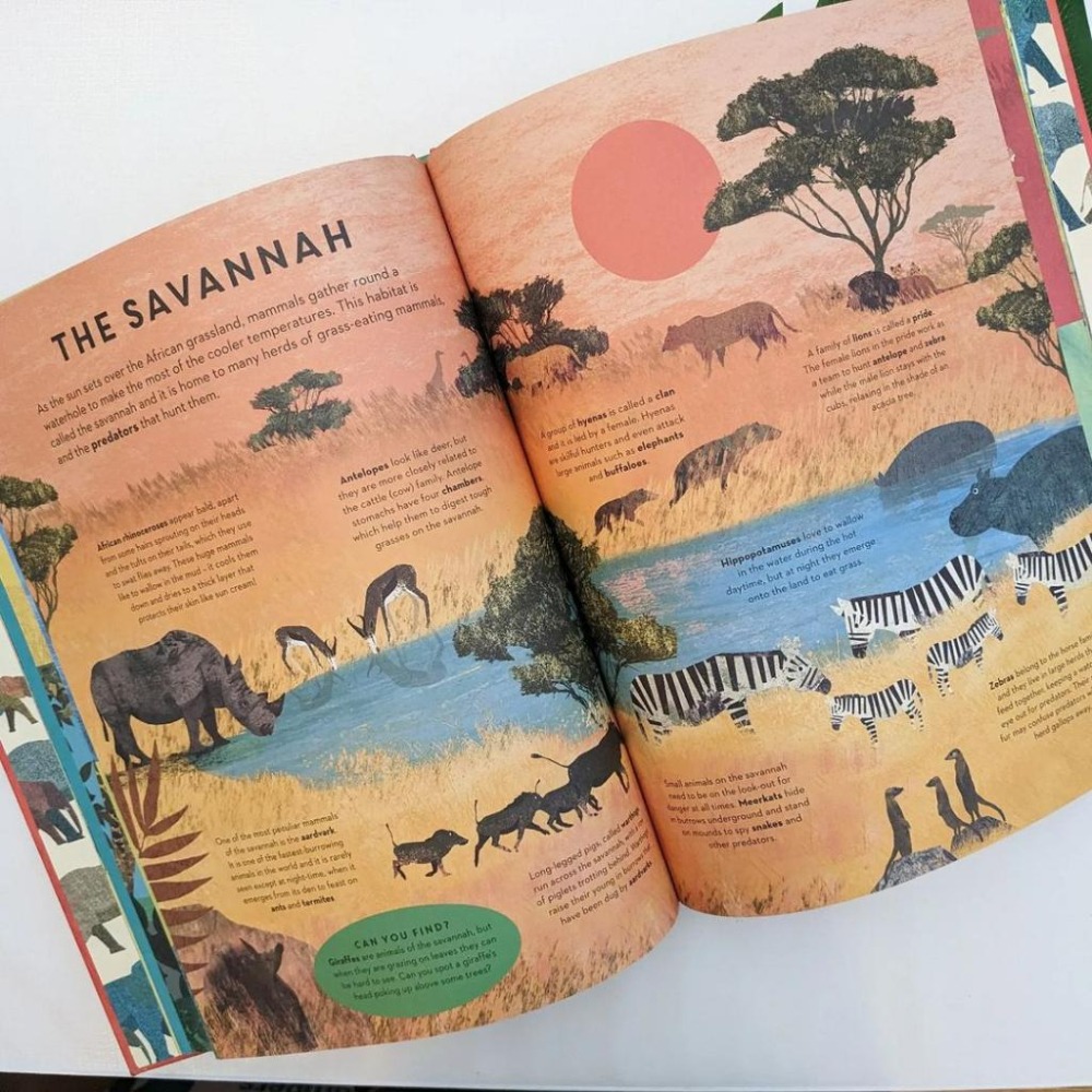 精裝英文知識繪本There are Mammals Everywhere🍀Britta Teckentrup🍀缺書店-細節圖7