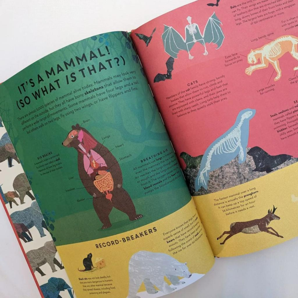 訂購🍀精裝英文知識繪本There are Mammals Everywhere🍀德國Britta Teckentru-細節圖9