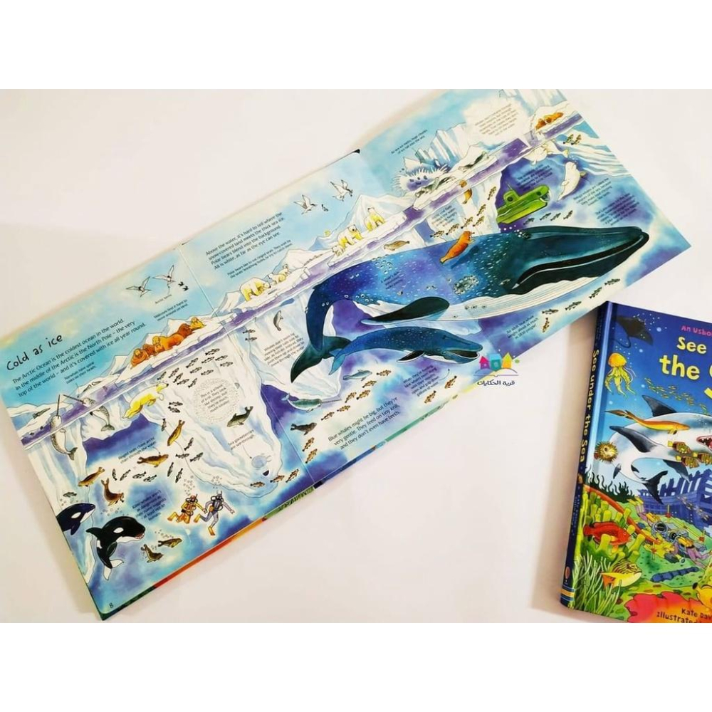 訂購 Usborne英文科普Usborne Flap Book:See Under The Sea海底世界🍀硬頁書翻翻頁 - 缺書店【英文童書 ...