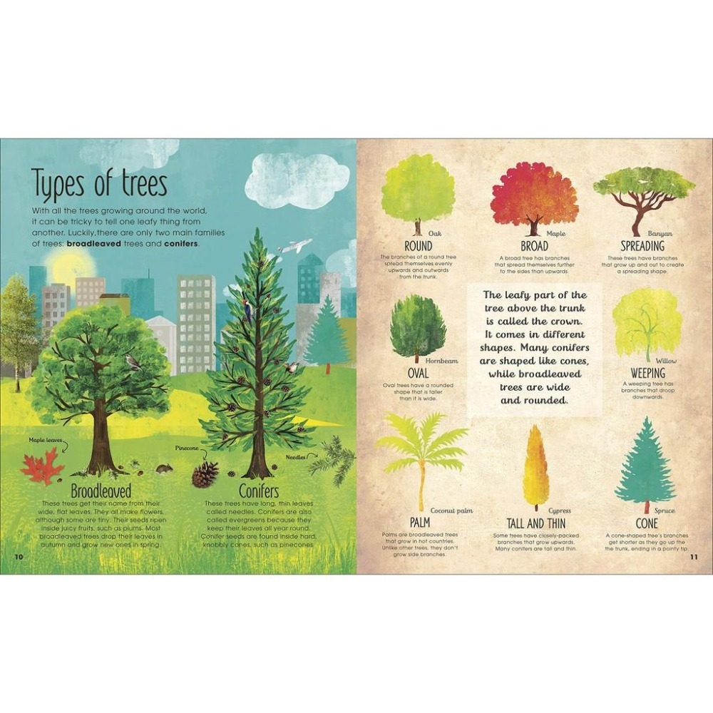 【贈音檔】🍀精裝DK自然科普書The Magic and Mystery of Trees認識和探索樹的奧妙🍀缺書店-細節圖3