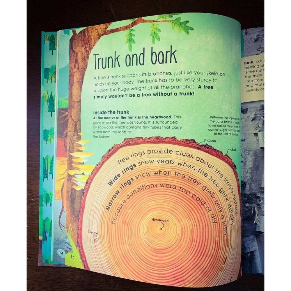 【贈音檔】🍀精裝DK自然科普書The Magic and Mystery of Trees認識和探索樹的奧妙🍀缺書店-細節圖4