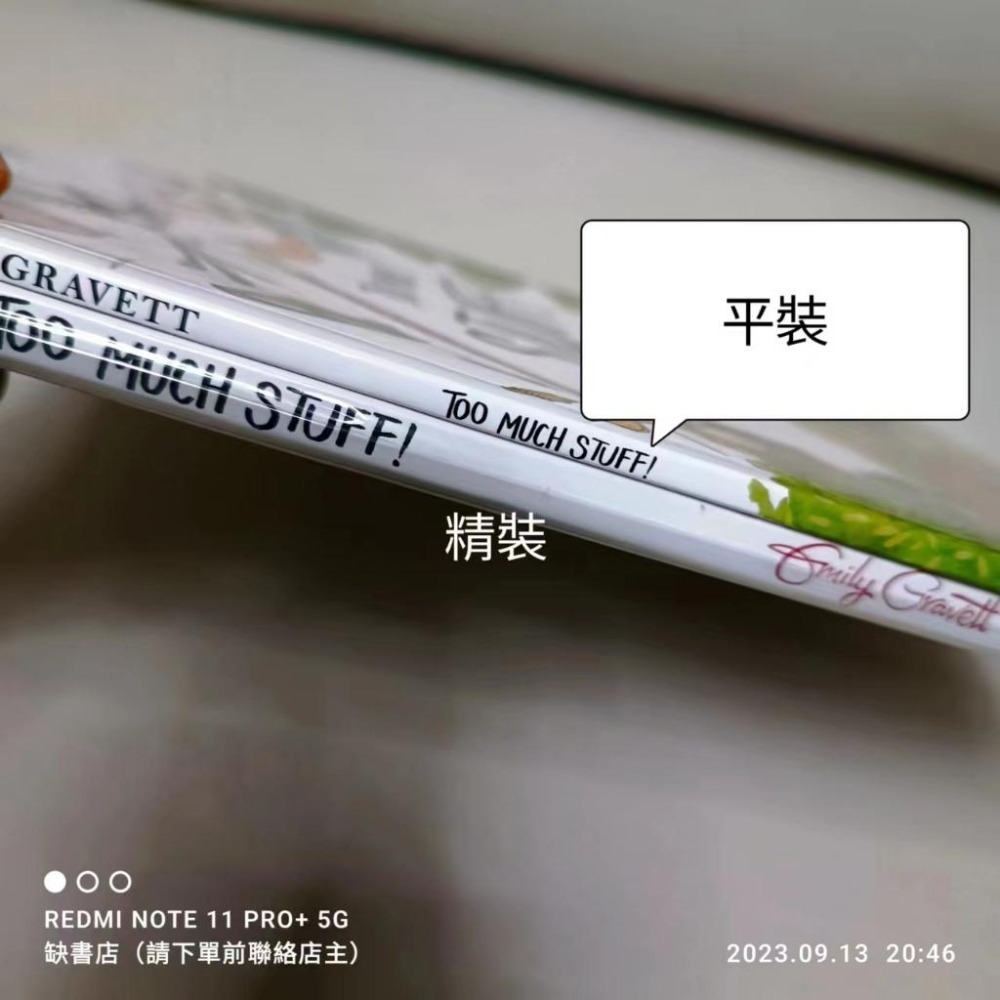 現貨🍀英文繪本Too Much Stuff🍀《Tidy 整潔》同作者知名插畫家Emily Gravett🍀【缺書店】-細節圖2