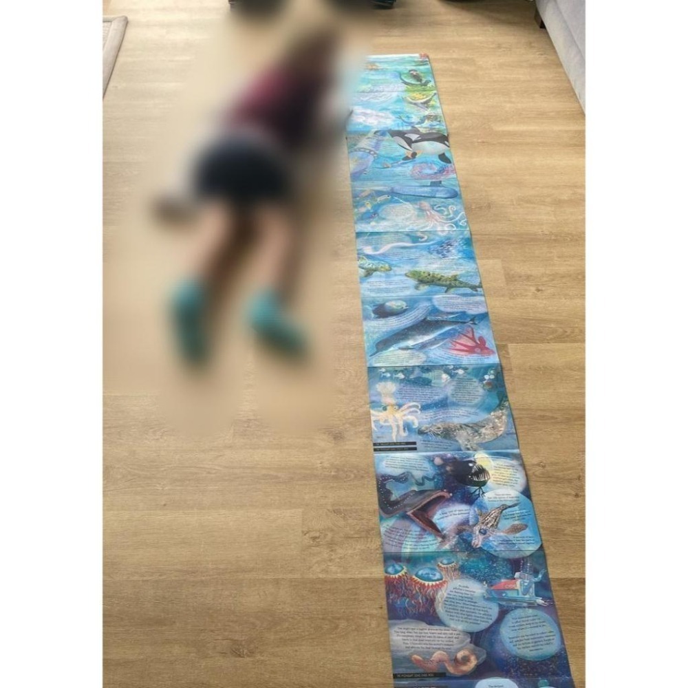 缺書店🍀精裝自然科普STEM知識繪本🍀The Sea Below My Toes🍀手風琴折疊式設計約2.4公尺長-細節圖3