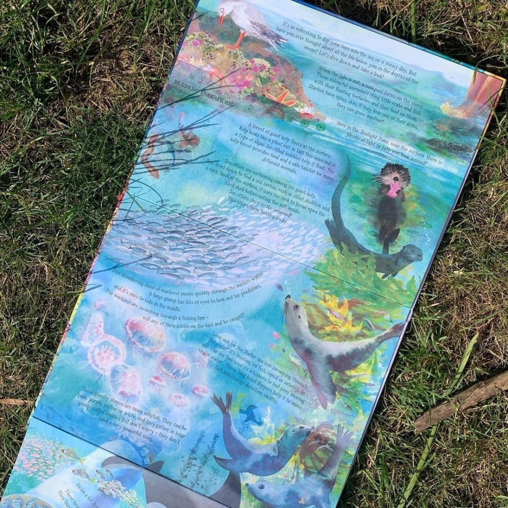 缺書店🍀精裝自然科普STEM知識繪本🍀The Sea Below My Toes🍀手風琴折疊式設計約2.4公尺長-細節圖4