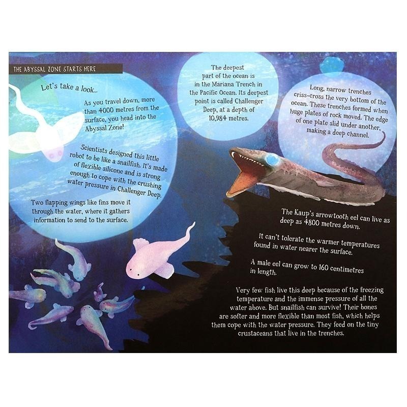 缺書店🍀精裝自然科普STEM知識繪本🍀The Sea Below My Toes🍀手風琴折疊式設計約2.4公尺長-細節圖8