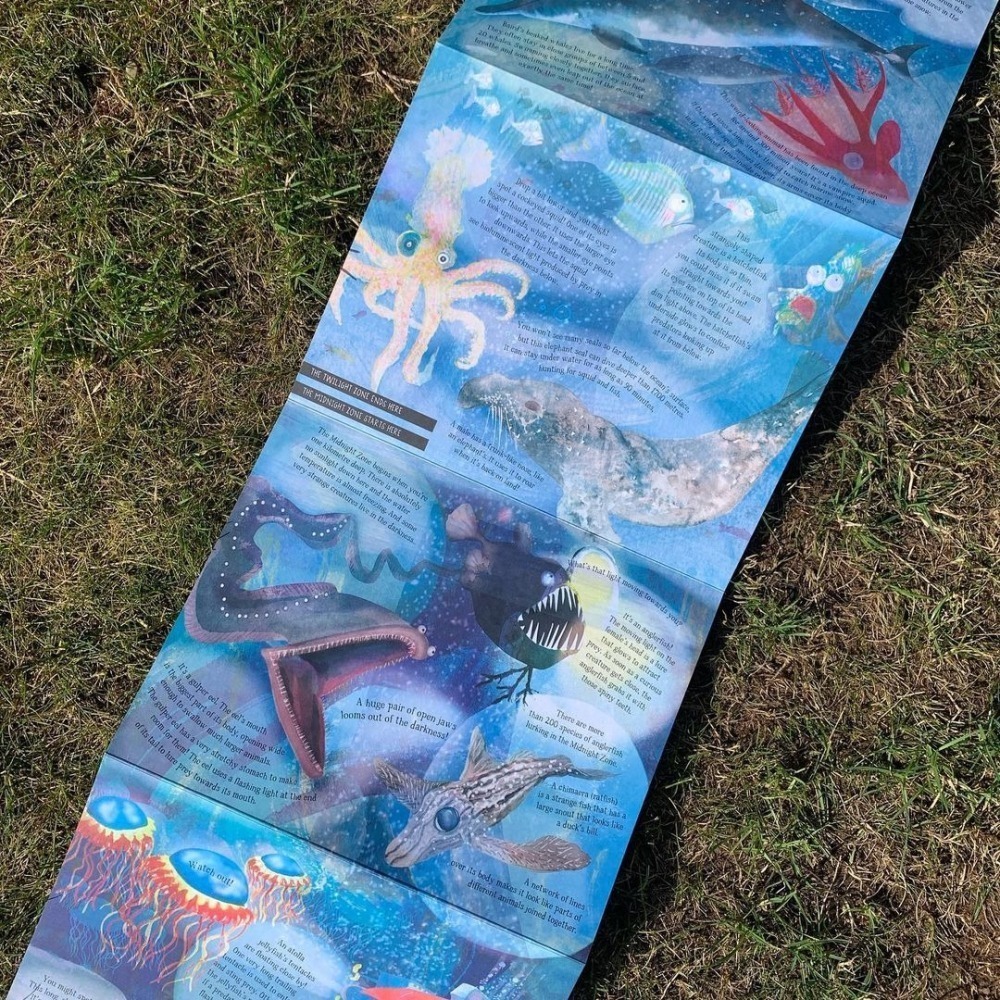 缺書店🍀精裝自然科普STEM知識繪本🍀The Sea Below My Toes🍀手風琴折疊式設計約2.4公尺長-細節圖11