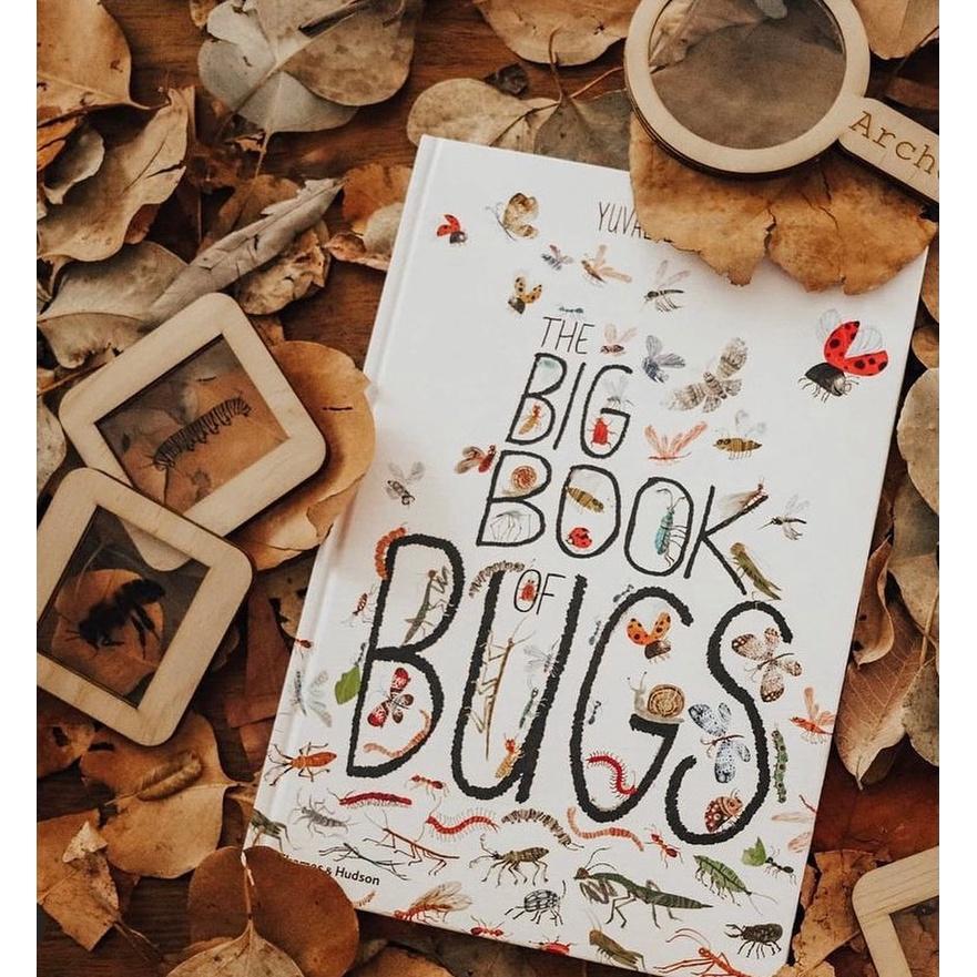 精裝科普知識繪本🍀the big book of bugs/birds/blue/beasts/blooms🍀【缺書店】-細節圖3