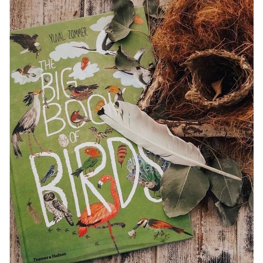 精裝科普知識繪本🍀the big book of bugs/birds/blue/beasts/blooms🍀【缺書店】-細節圖4