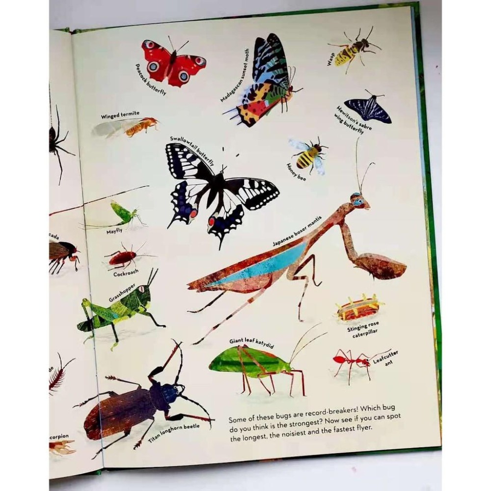 英文知識繪本There Are Bugs Everywhere🍀Britta Teckentrup🍀缺書店-細節圖2