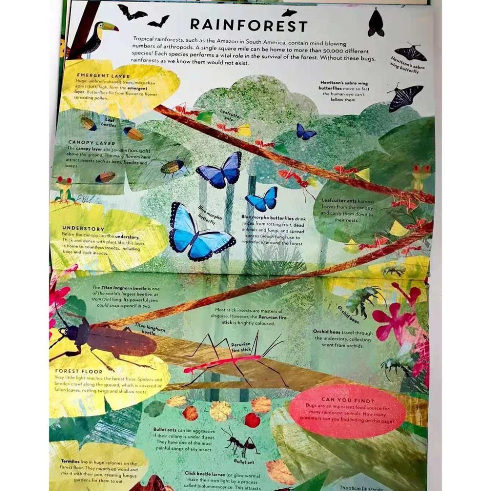 英文知識繪本There Are Bugs Everywhere🍀Britta Teckentrup🍀缺書店-細節圖3