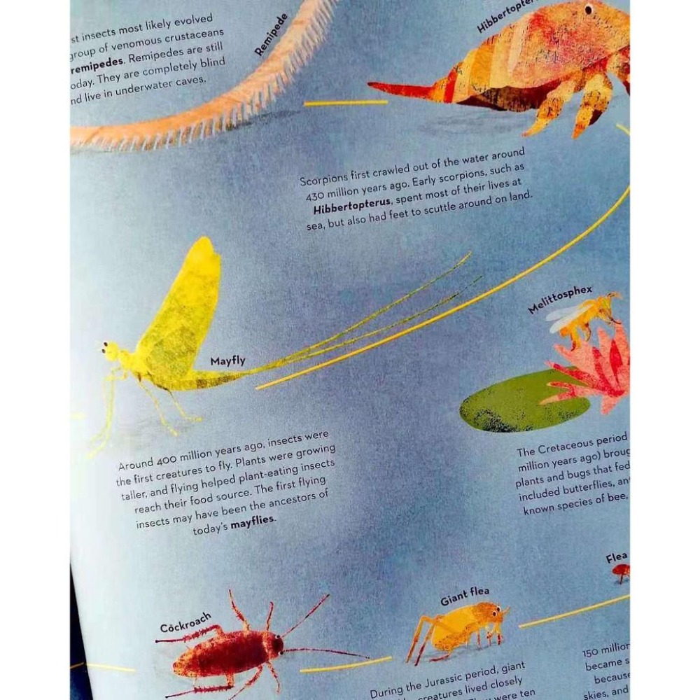 英文知識繪本There Are Bugs Everywhere🍀Britta Teckentrup🍀缺書店-細節圖5