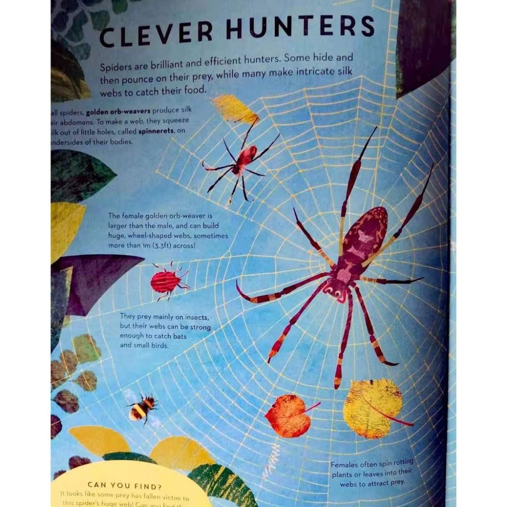 英文知識繪本There Are Bugs Everywhere🍀Britta Teckentrup🍀缺書店-細節圖7