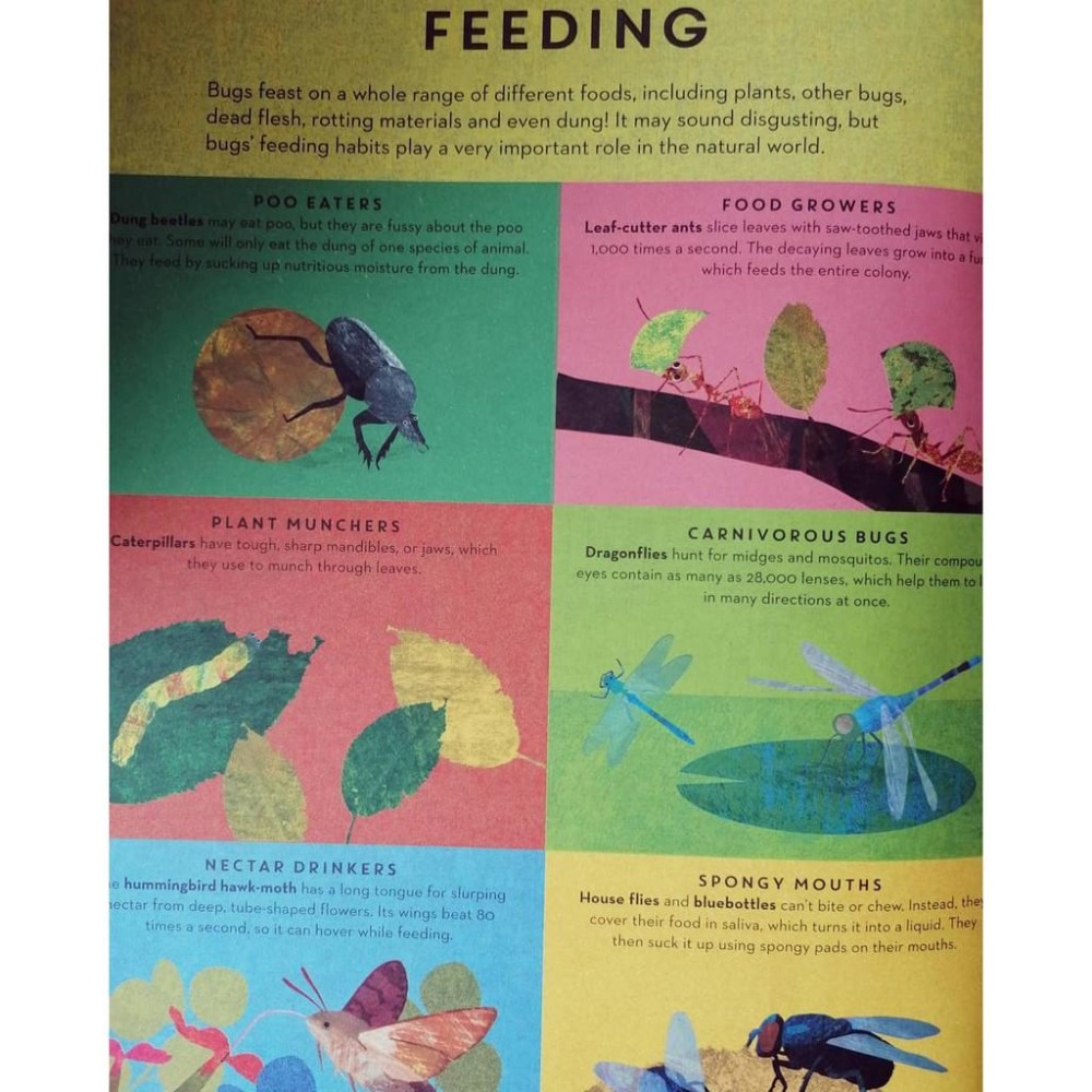 英文知識繪本There Are Bugs Everywhere🍀Britta Teckentrup🍀缺書店-細節圖8