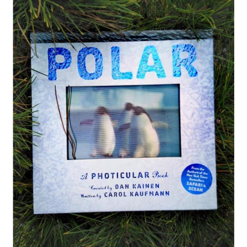 缺書店🍀精裝英文Polar: A Photicular Book極地動物🍀多視角3D 立體影像書