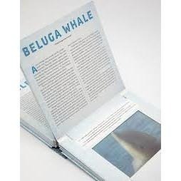 缺書店🍀精裝英文Polar: A Photicular Book極地動物🍀多視角3D 立體影像書-細節圖5